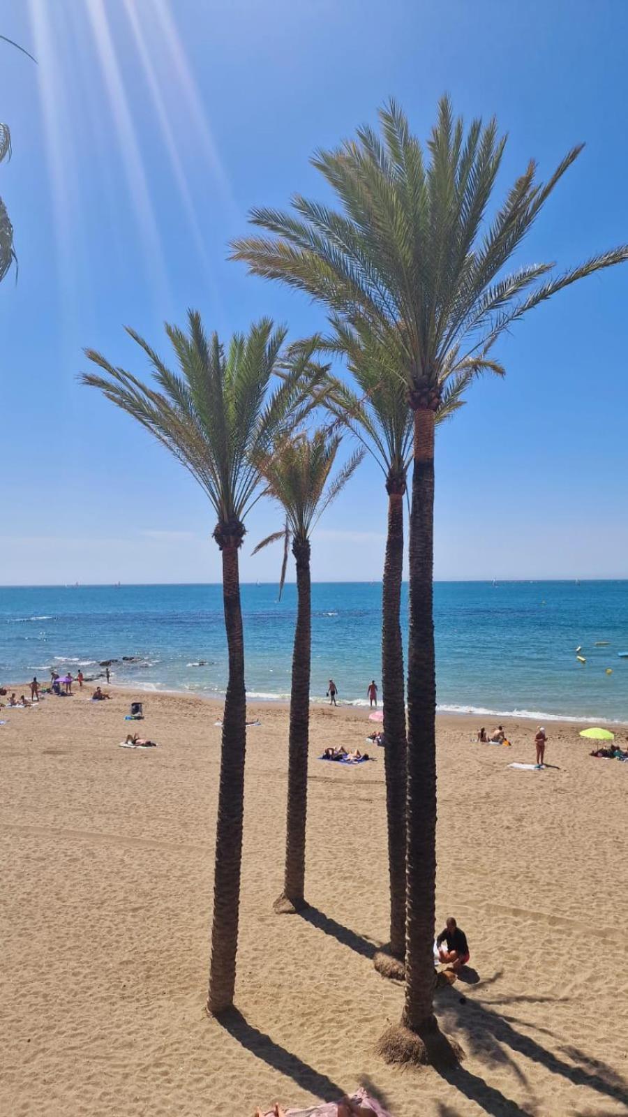 בנאלמדנה Apartamentos Magic Benalbeach By Benalnova מראה חיצוני תמונה